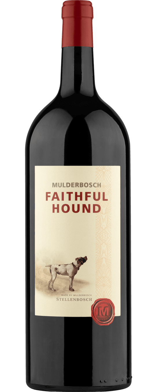 Faithful Hound Stellenbosch
