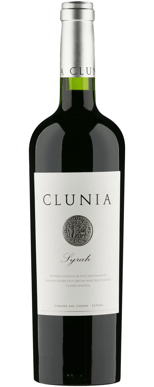 Syrah Castilla y León VdT